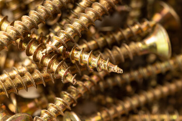 A close-up of a pile of wooden screws with gold-colored heads, scattered randomly on a background