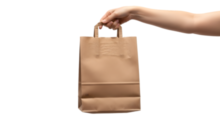 Hand Holding a Brown Paper Shopping Bag paper bag