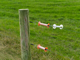Fence post with electric insulators in a green field with a wire running through them.