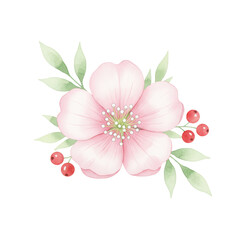 Fototapeta premium Elegant Pink Blossom Arrangement with Berries and Foliage on a Clear Setting
