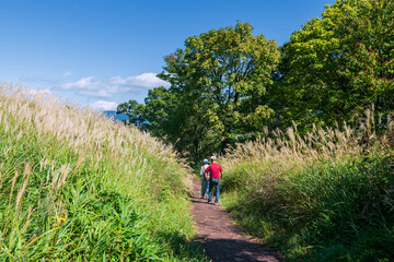 Obraz premium Japanese people with trekking pole at Tadewara Wetlands, Kokonoe, Oita