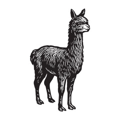 Fototapeta premium Elegant Llama Standing Tall A Striking Illustration for Animal Lovers and Nature Enthusiasts