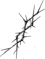 Multiple twigs arranged together. Prickly branches with thorns. Tree stems with barbed ends.