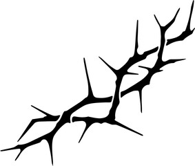 Dried, thorny branch against white background. Thorns densely cover a long, thin, brown branch. Natural, isolated