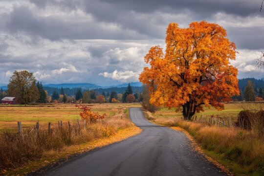 Autumn Serenity: A Scenic Drive Through Kent, Washington's Countryside Landscape