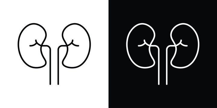 Kidneys icon. Line with editable stroke.