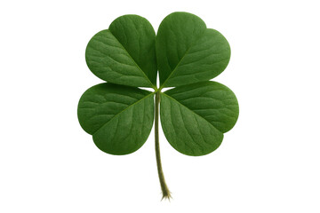 Four leaf clover representing good luck, irish symbolism, green nature, and st. Patrick's day celebration on transparent background