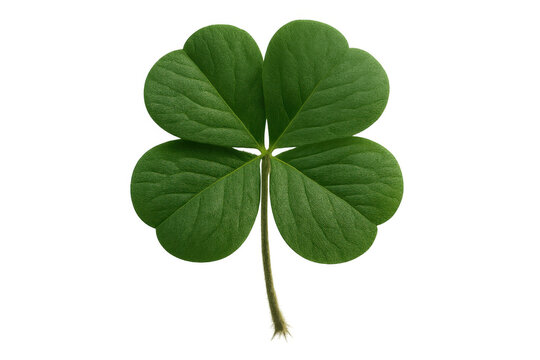 Four leaf clover representing good luck, irish symbolism, green nature, and st. Patrick's day celebration on transparent background