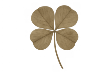 Dried four-leaf clover representing luck and fortune, a valuable lucky charm with a transparent background