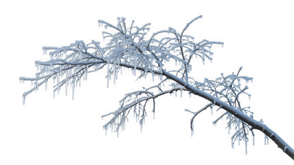 Frozen tree branch adorned with glistening icicles in winter