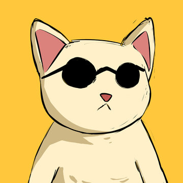 Cat PFP