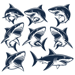 Aggressive Shark Mascot Vector Set – Predatory Ocean Animal Illustrations