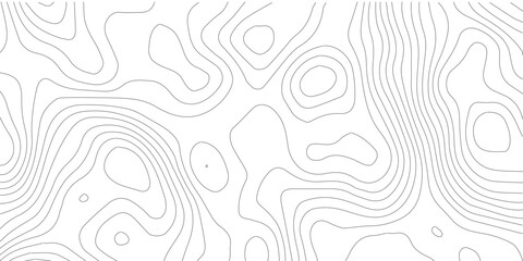 Topography background. Vector banner. Topography map background. Vector geographic contour map. Background of the topographic map. Topographic map lines, contour background.	