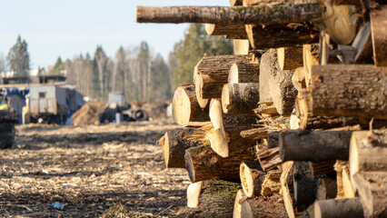 Harvesting or felling of forests for furniture production