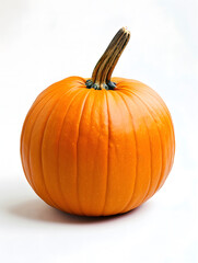 Bright orange pumpkin with a tall stem isolated on a light background