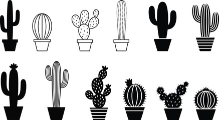 Collation of cactus, vector illustration.