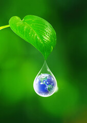 Water drop with earth inside under green leaf on nature green background, Sustainability for our world concept, Elements of this image furnished by NASA