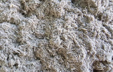 Dried organic herb material. Bitter herb for colon cleansing, worm and parasite control, vitamins and health benefits concept