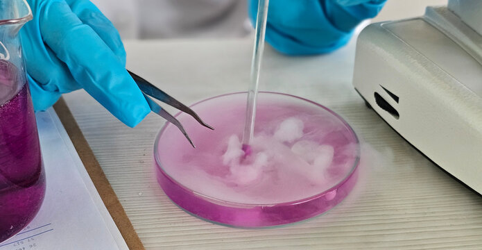 A scientist conducts an experiment with pink solution and lab equipment at a research center. Carbon dioxide and toxic liquids concept