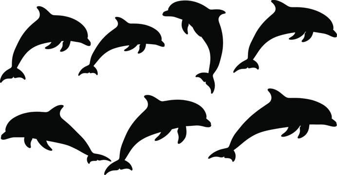 Dolphin silhouettes, marine animal, ocean wildlife, swimming motion, aquatic creature, leaping dolphin, sea illustration, nature design, animal shape, underwater movement
