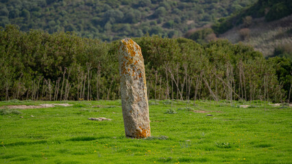 Ancient Menhir Standing Stone in Rural Sardinia Asuni Landscape