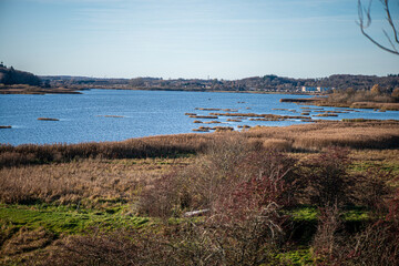 A serene landscape photograph showcasing a beautiful lake view in a peaceful Danish village, surrounded by nature and soft light.