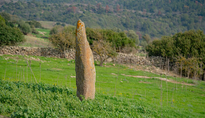 Ancient Menhir Standing Stone in Rural Sardinia Asuni Landscape