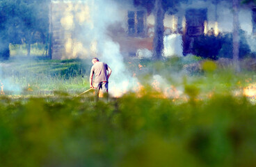 Mężczyzna wypala trawy na polu po zebraniu plonów. Wypalanie traw jest czynnością bardzo ryzykowną i szkodliwą dla środowiska © JDziedzic