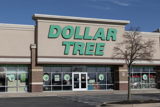 Dollar Tree Discount Store. Dollar Tree offers an eclectic mix of products for a dollar and a quarter. Or more.