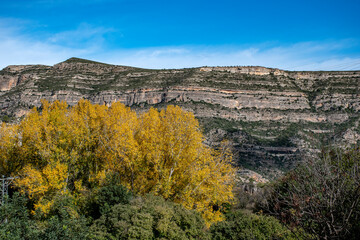 paisajes de montaña, bosque en otoño con un cielo azul y nubes blancas
