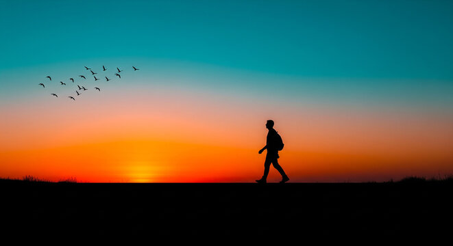 Silhouette of a person walking at breathtaking sunset with birds flying, perfect for travel, adventure, and freedom concepts