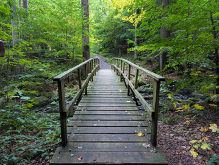 Brücke, Holzbrücke, Fußgängerbrücke, Waldweg, Herbst