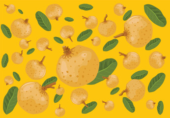 Summer longan fruit pattern on light brown background
