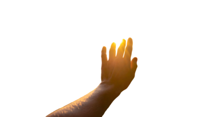 A sunlit hand reaches up, partially silhouetted against a dark background