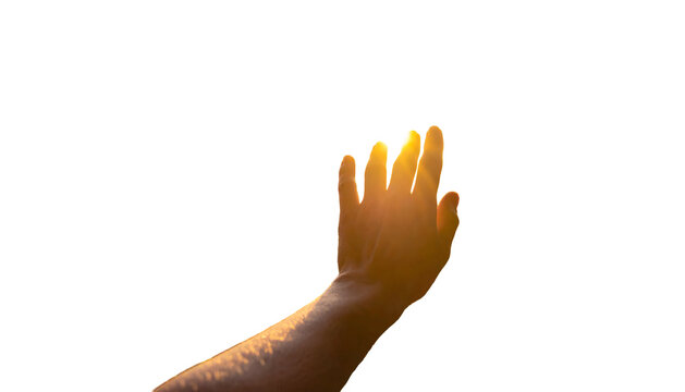 A sunlit hand reaches up, partially silhouetted against a dark background
