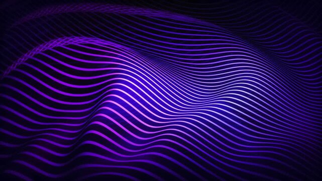 Purple glowing lines creating a symmetrical wave pattern on a dark background. A geometric, graphics video loop, backdrop