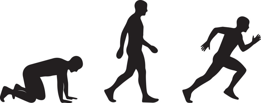 Silhouettes of human figures in different stages of movement from crawling to walking and running on a white background