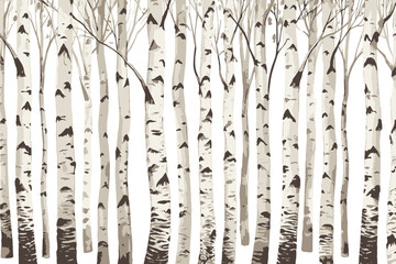 Birch trees texture vector illustration