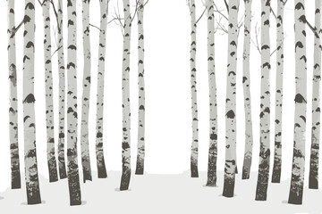 Birch trees texture vector illustration