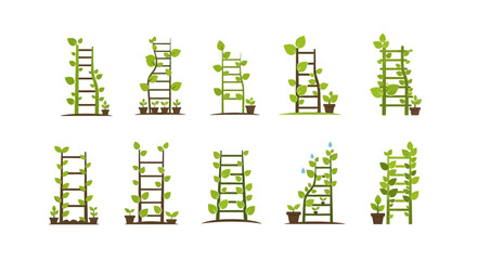Green plants growing on trellises, natural growth vector icons