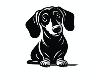 Dachshund dog with smart and affectionate look, black and white vector silhouette