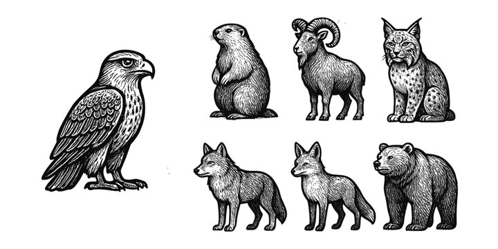 Vintage wildlife collection: detailed hand-drawn forest and mountain animals