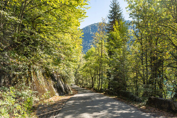 In the mountains, along a narrow road running alongside a deep, forested gorge, lies the path to Lake Ritsa. The journey takes place on a warm autumn day.
