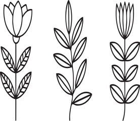 Three stylized black line drawings of flowers and leaves