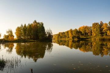 A landscape of the quiet surface of a small river on a sunny autumn morning. The calm surface of the water. The tranquility of an autumn morning on the banks of a narrow rural river.