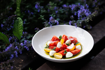 Bright Tomato Burrata Salad With Radish Slices and Olive Oil Drizzle