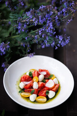 Bright Tomato Burrata Salad With Radish Slices and Olive Oil Drizzle