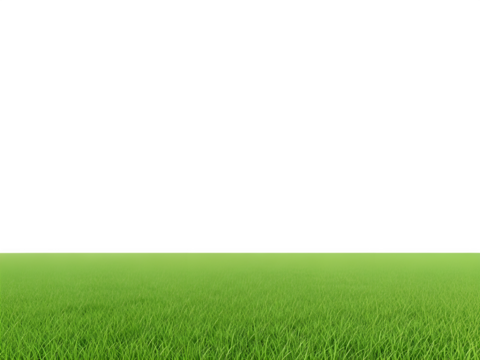 Lush green grass field, perfect for adding your own elements