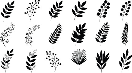 Collection of hand drawn botanical elements and leafy branches in black silhouette on white background
