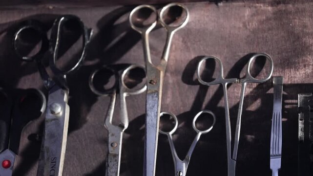 Professional barber scissors and shears stand organized in a backlit display. Dramatic lighting highlights the shiny metal tools used for precision haircutting in a modern salon or barbershop.